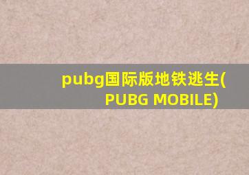 pubg国际版地铁逃生(PUBG MOBILE)